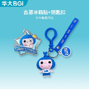 华大周边吉恩冰箱贴+钥匙扣