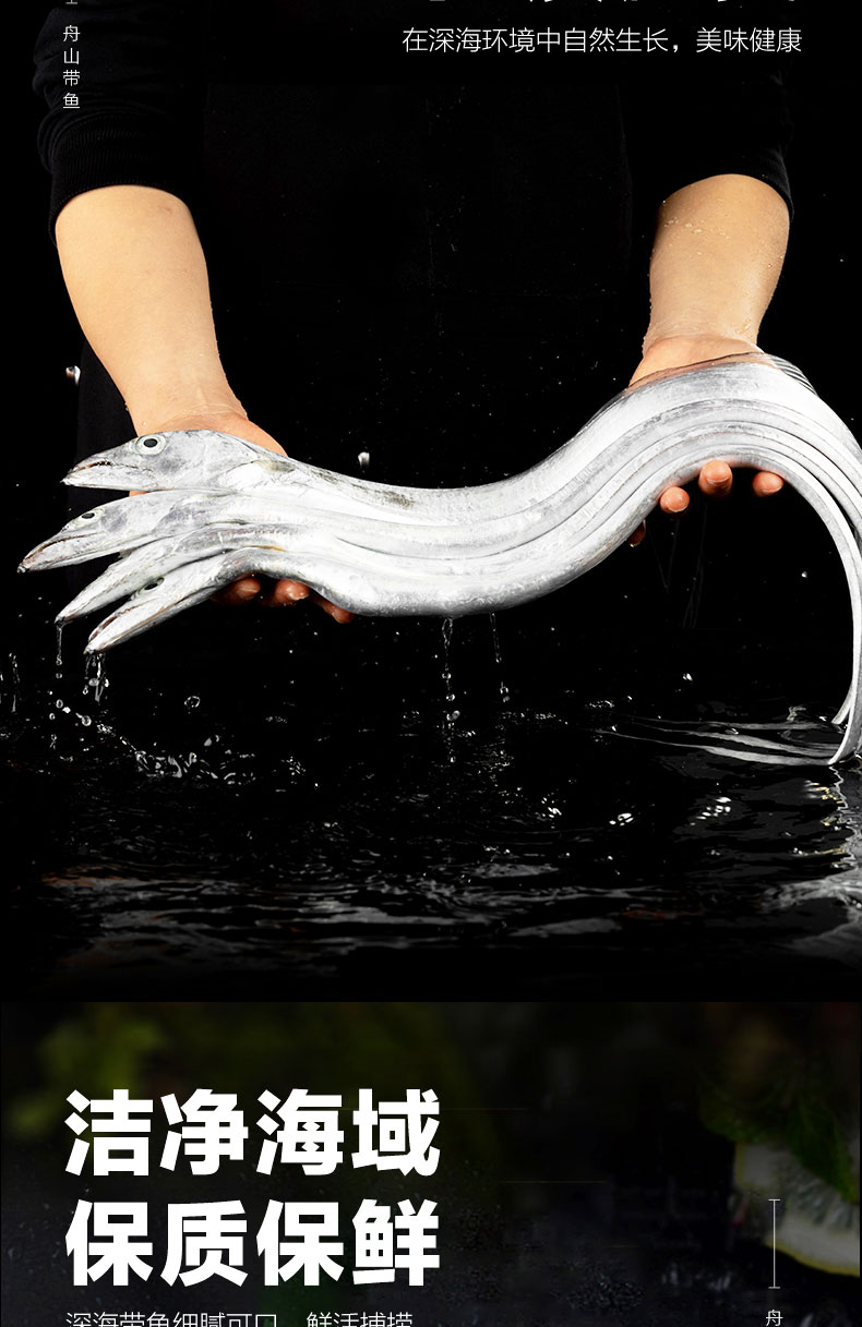 带鱼298_03