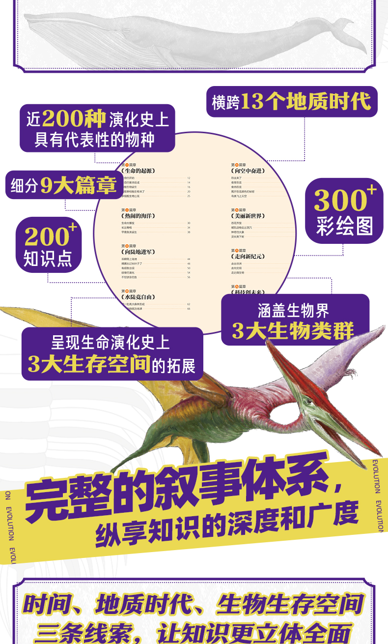 《大演化》详情页_04