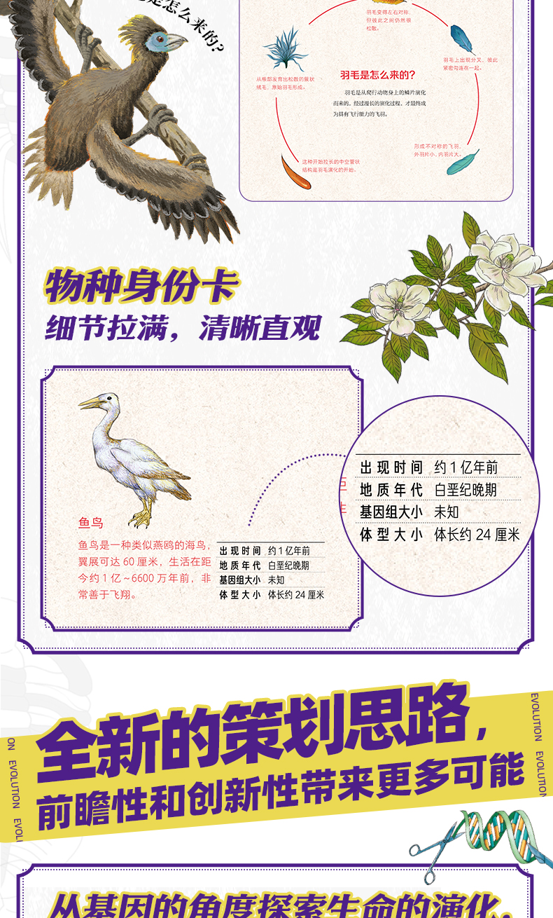 《大演化》详情页_08