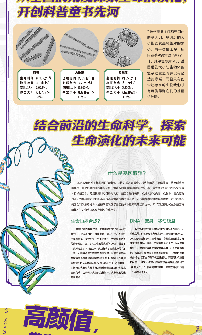 《大演化》详情页_09