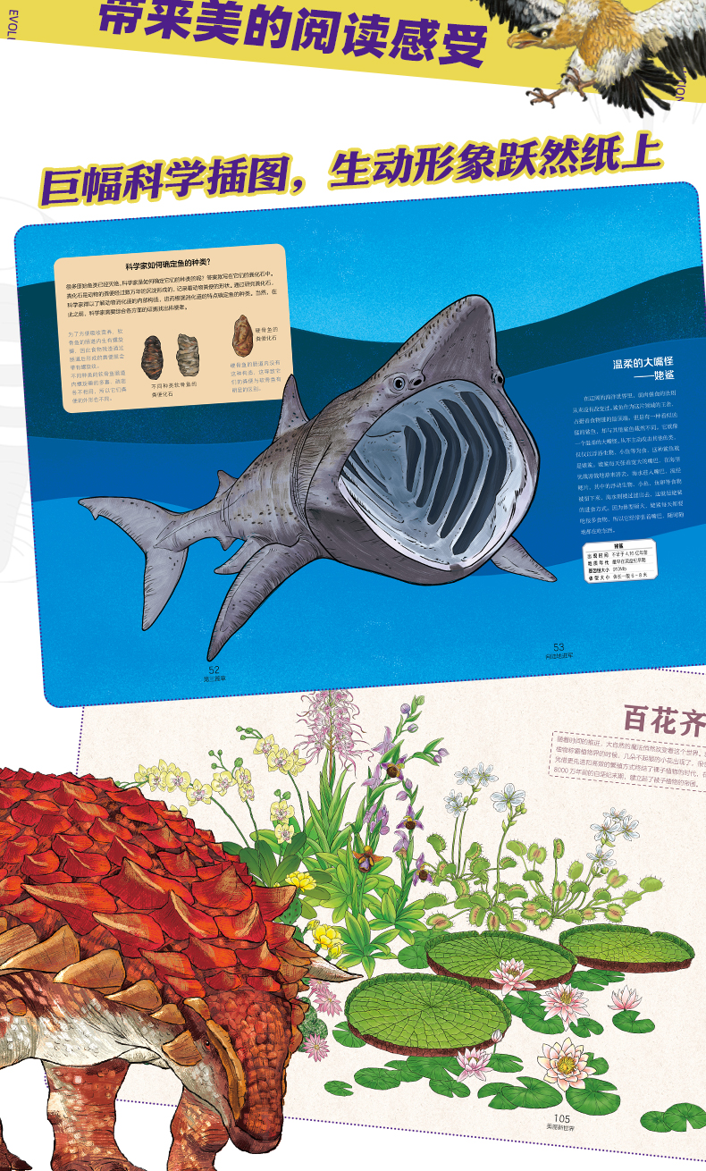 《大演化》详情页_10