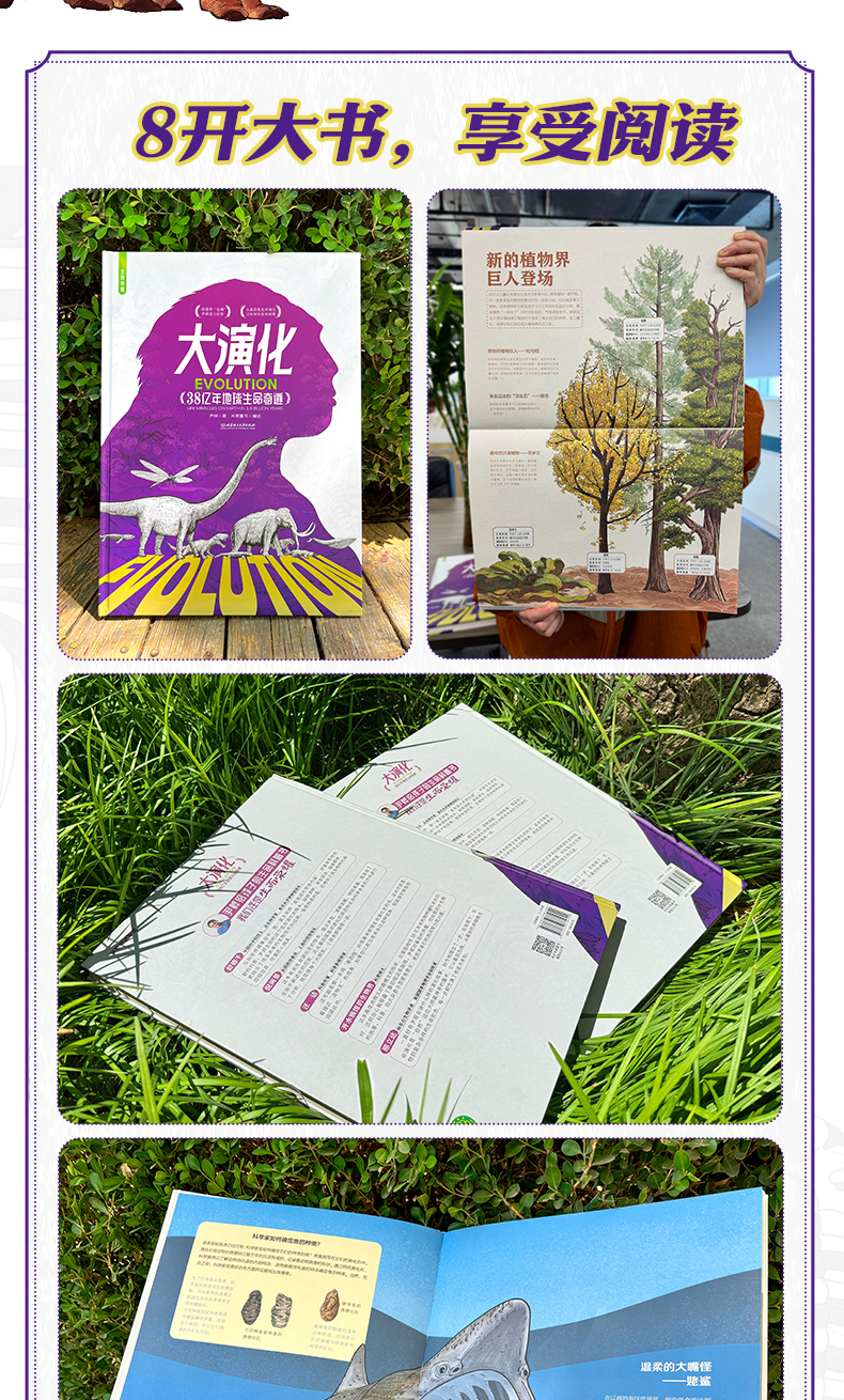 《大演化》详情页_11