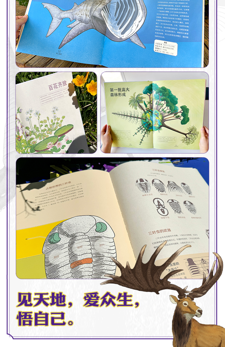 《大演化》详情页_12