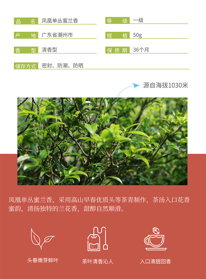 凤凰单丛蜜兰香_01