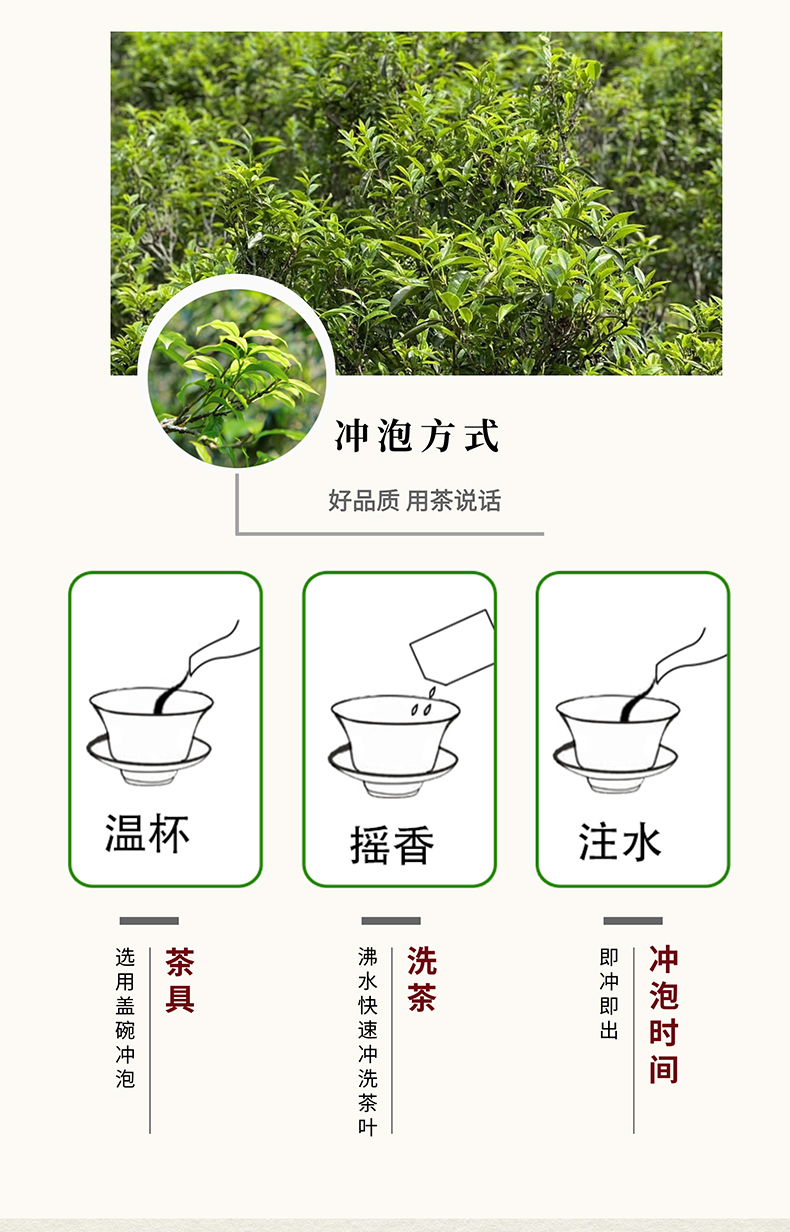 凤凰单丛蜜兰香_06