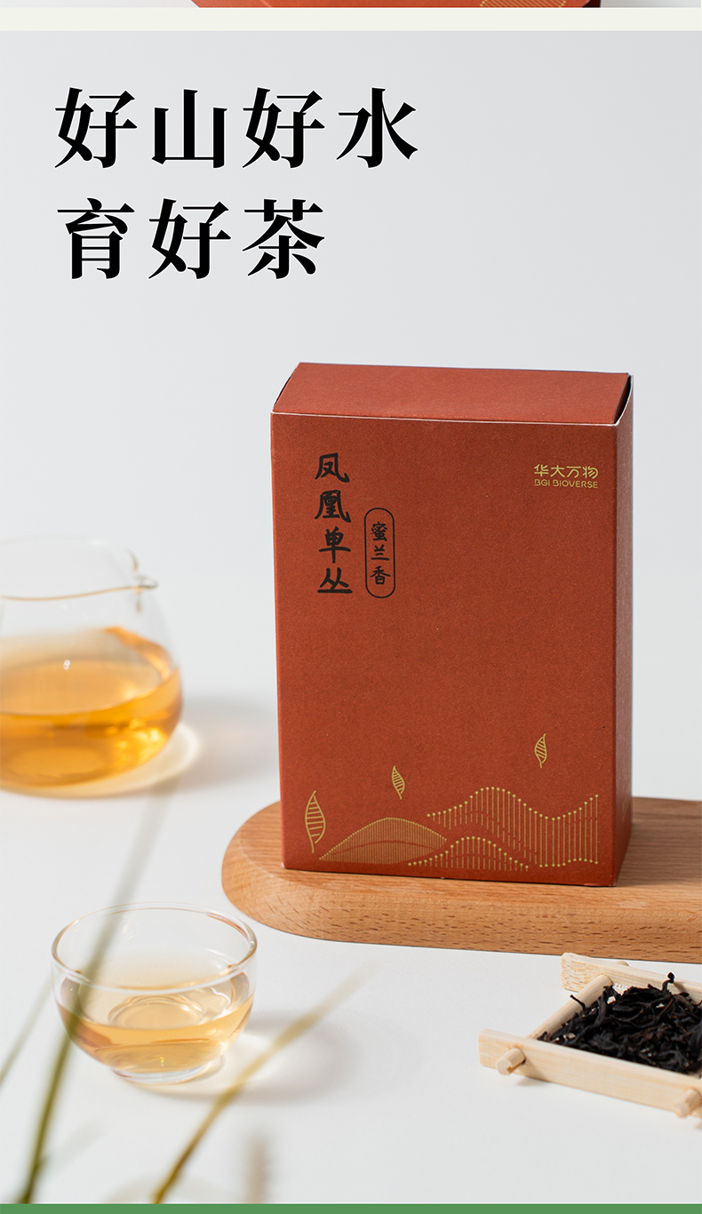 凤凰单丛蜜兰香_09