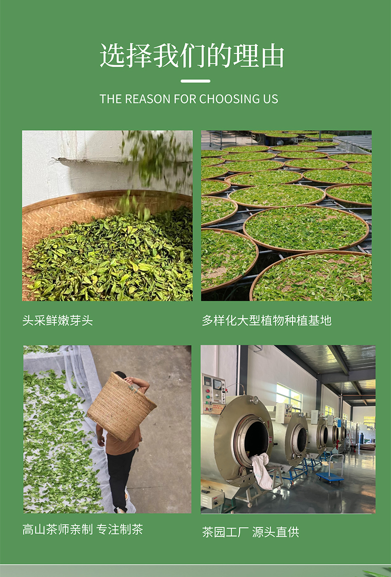 凤凰单丛蜜兰香_10