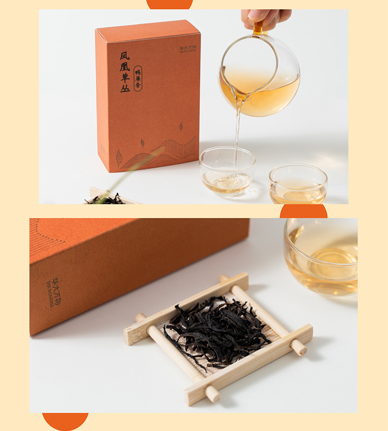 凤凰单丛鸭屎香_07