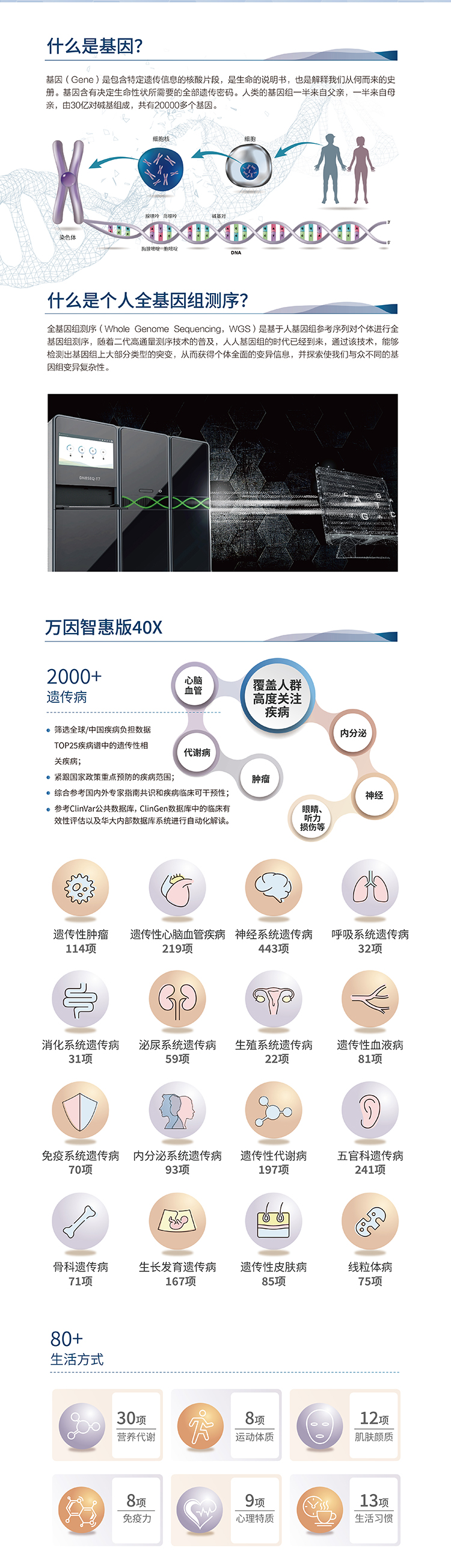 商详图2
