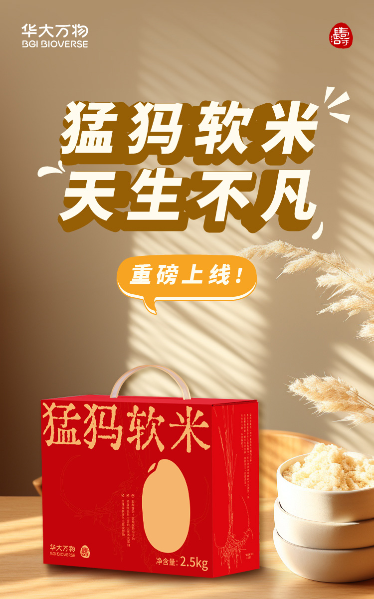 设计助理_2_01