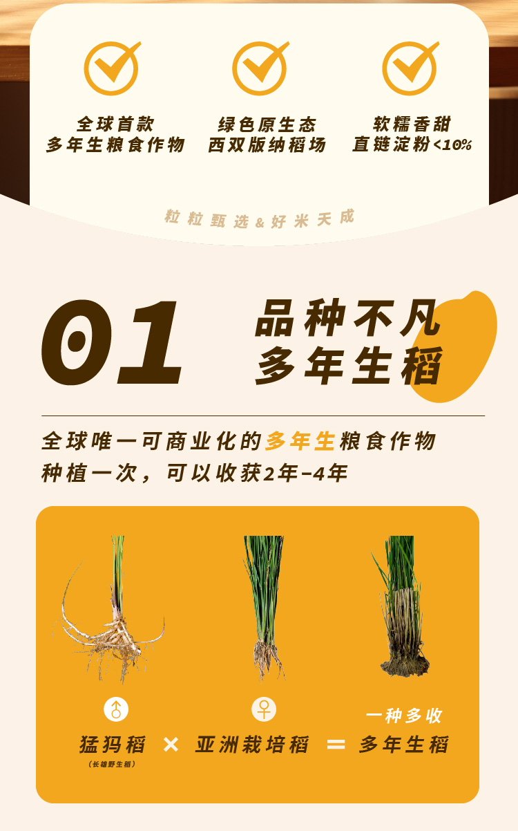 设计助理_2_02