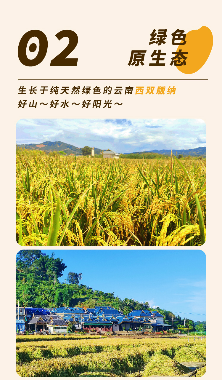 设计助理_2_03